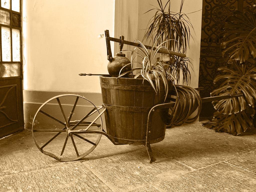 The Secret Garden Relais Piano di Sorrento Exterior foto